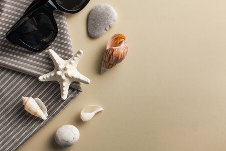  Tropical background. Flatlay with starfish, sunglasses and shells on a colored background. The concept of travel, vacation at sea. Copy spaceの写真素材