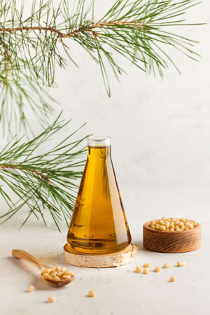 Vegetable cedar oil, pine nuts, a branch of a coniferous tree. The concept of healthy eating.の写真素材