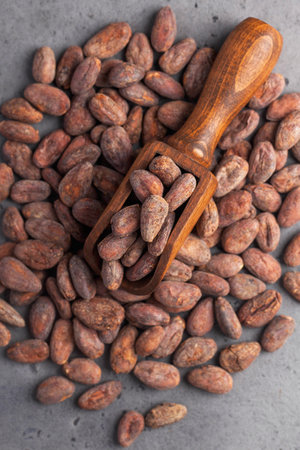 Cocoa beans in a wooden scoop on a gray background. Cocoa product. High quality photoの写真素材