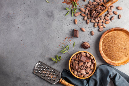 Cocoa beans, cocoa powder, raw chocolate on a gray background. The concept of healthy eating. Copy space. High quality photoの写真素材
