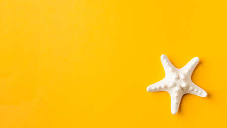 Starfish on a yellow background. Summer background. The concept of travel. Copy space.の写真素材