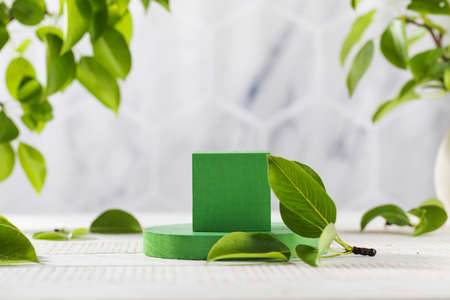 Green podium surrounded by young leaves, for product presentation on a wooden background. The organic concept.の写真素材