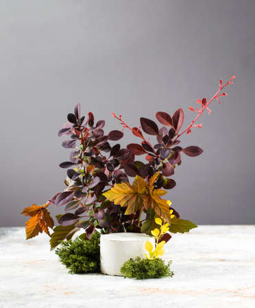Empty concrete podium for product presentation with red leaves and moss. Autumn composition. Copy space.の写真素材