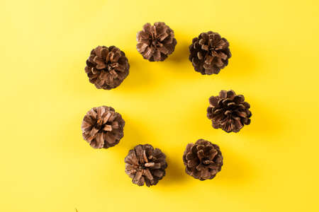 Autumn composition. A frame of cones for your text. Copy space.の写真素材