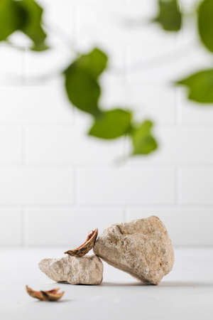 A podium made of gray stones and pieces of shell for the presentation of your product. Modern display of goodsの写真素材