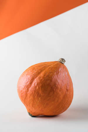 Round pumpkin on a colored background. Minimalism. The concept of autumn and Halloween. High quality photoの写真素材