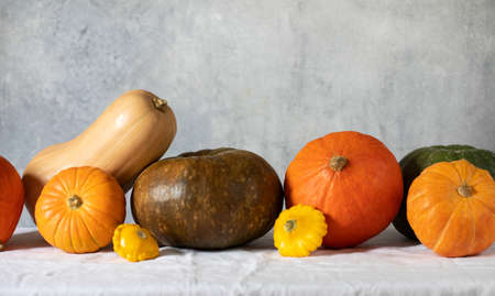 A set of pumpkins of different shapes and sizes with space for text. The concept of autumn, harvest...