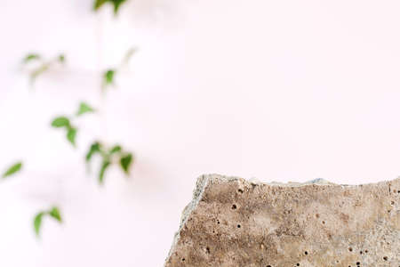 Broken piece of grey porous concrete with blurry green branch. Empty podium for the presentation...