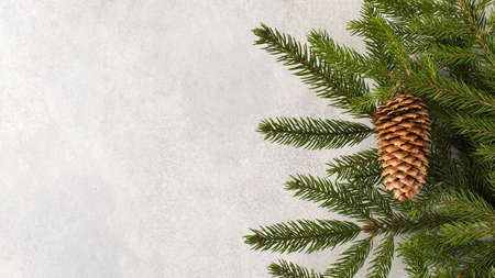 Christmas background with fir branches, pine cone and place for text.
