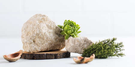 A podium made of gray stones, moss and pieces of shell for the presentation of your product. Banner.の写真素材