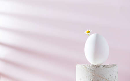 A white egg with a flower on a podium on a light pink background with a shadow pattern. Easter concept. Minimalism.の写真素材