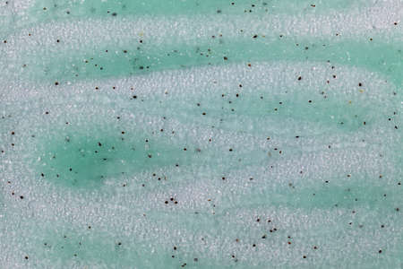 Texture of green body and face scrub with lime and coconut extract. Anti-aging skin careの写真素材