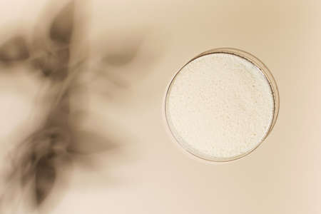 Hydrolyzed collagen powder in a Petri dish on a beige background with a shadow from a plant.