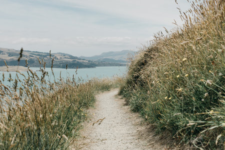 A path with a sea view. A road for hiking with a stunning landscape. Landscape.