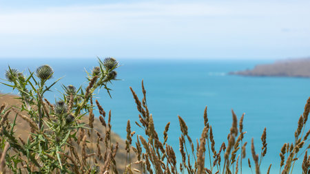 Seascape from a national park in New Zealand. A sea bay with a rocky shore.