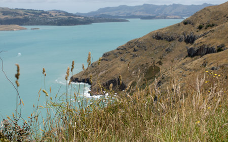 Seascape from a national park in New Zealand. A sea bay with a rocky shore.