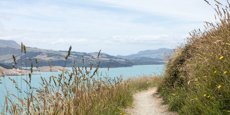 A path with a sea view. A road for hiking with a stunning landscape. Landscape. Banner.の写真素材