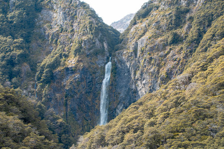 Devils Punchbowl waterfall cascades amid lush NZ greenery, a jewel of Arthurs Passの写真素材