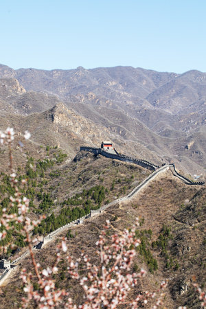Great wall extending through mountains with blossom in foreground. Chinaの写真素材
