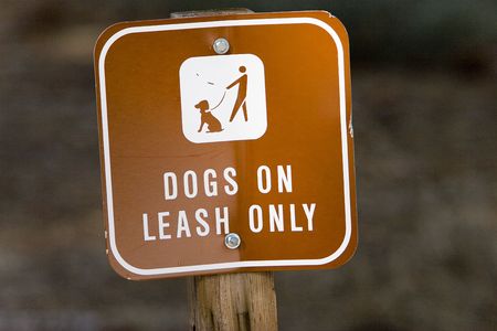 Dogs on leash onlyの写真素材
