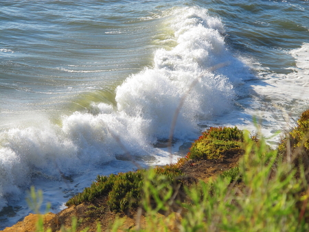 Large Pacific Ocean Waves Rumbling Into Foliage Covered Shoreの写真素材