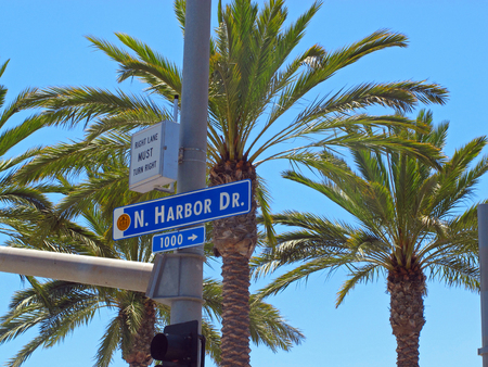 Harbor Drive on the San Diego Oceanfront with Palm Trees and Clear Blue Skyのeditorial素材