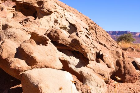 Sandstone Rock that is full of holes from erosion in the desertの写真素材