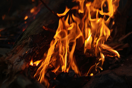 camp fire burning bright orange flames