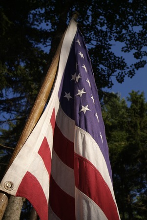 american flag with trees behind it