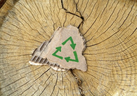 Recycling symbol on cardboard on top of cut down tree の写真素材
