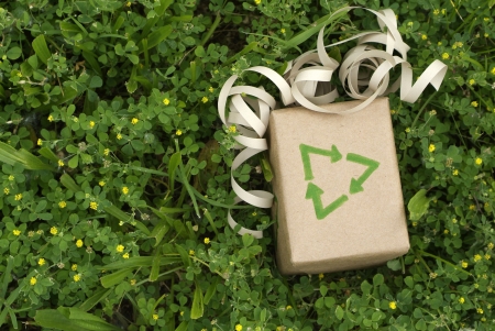 Eco friendly gift wrapped in recycled paper surround by green plantsの写真素材