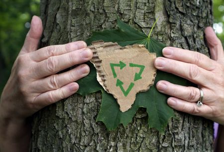 Environmental Person hugging tree holding green leaf and recycled eco cardboard with recycle symbol on it. の写真素材