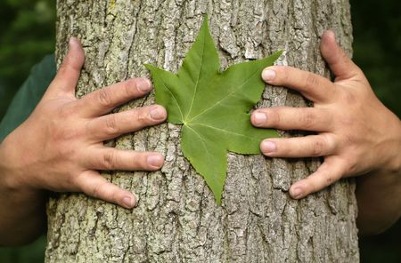 Earth Day Concept: Eco minded person hugging a tree with a green leaf between their hands.の写真素材