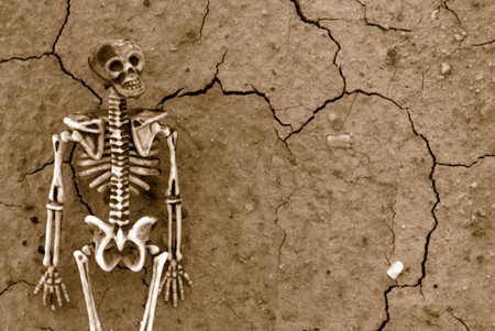 Distressed Skeleton backgroundの写真素材