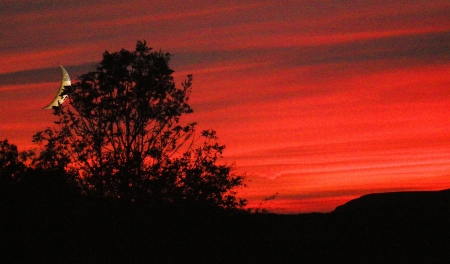 Red Moonset & Sunsetの写真素材