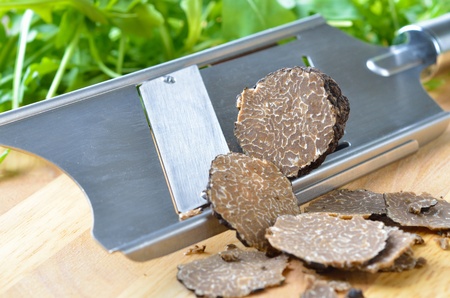 Fresh black truffles / tuber uncinatumの写真素材