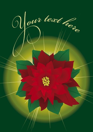 Bright christmas poinsettiaのイラスト素材