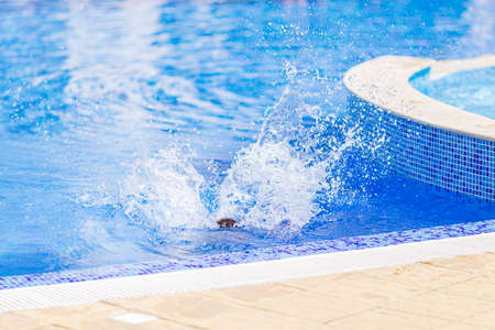 children jump, swim and play in the pool on a beautiful sunny summer day.  fun for kids on sunny...