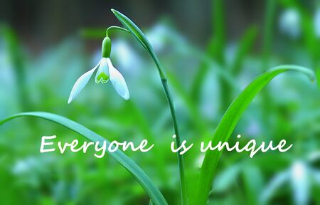 Everyone is unique in the most beautiful way. Uniqueness concept.の写真素材