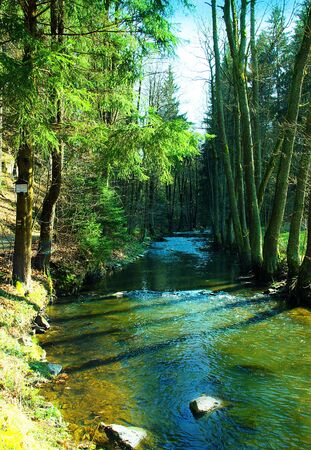 Doubrava valley. Highlands. Czech Republicの写真素材