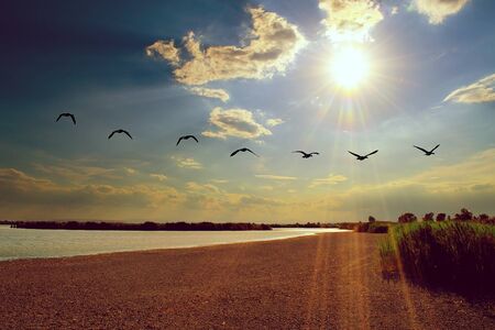 A beautiful sunset with a flock of flying birds in Warmsee in The Neusiedler See - Seewinkel National Park, Austria.の写真素材
