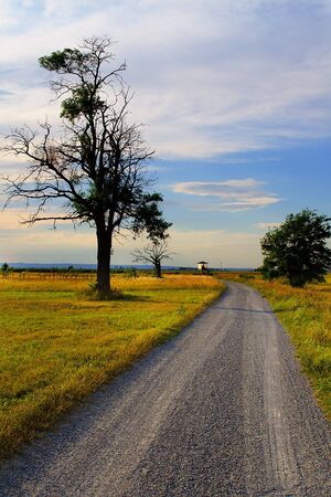 Bike trail leading through The Neusiedler See - Seewinkel National Park, Austria.の写真素材