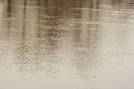River level with the reflection of tall trees on the coastの写真素材