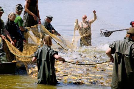 TREBON, CZECH REPUBLIC - JUNE 10, 2017:. Fishermen fishing the pond in South Bohemia.のeditorial素材