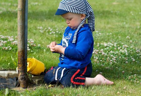 Cute little boy watering apple treeの写真素材