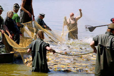 TREBON, CZECH REPUBLIC - JUNE 10, 2017 :. Fishermen fishing in South Bohemia.のeditorial素材
