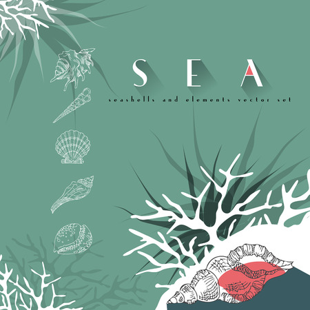 Seashells vector concept  set with coral on turquoise backgroundのイラスト素材