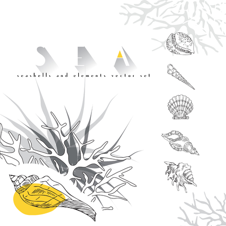 Seashells vector concept  set with coral on white backgroundのイラスト素材