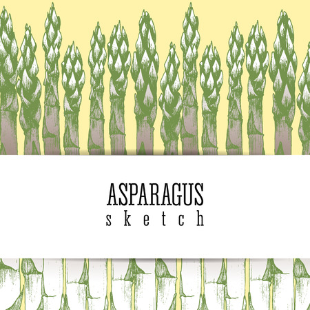 Stalks of asparagus background vector isolated sketch hand drawn colorful illustration. Design layout.のイラスト素材
