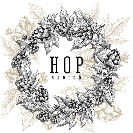 Beer hops round frame hand drawn hops branches with leaves, cones and hops flowers, black and white, sketch and engraving design hops plants. All element isolated. Common hop or Humulus lupulus branch.のイラスト素材